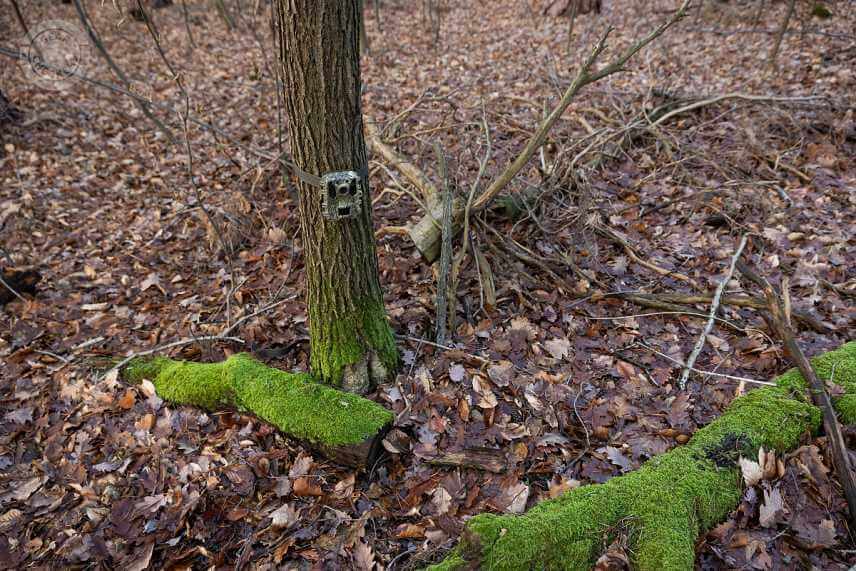 Fotopasca OXE Gepard II.